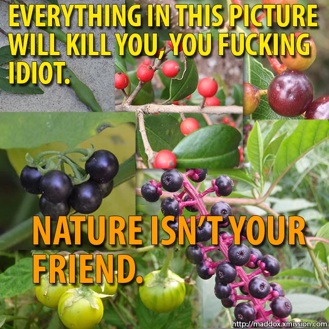 Here's a bunch of fruit and vegetables found in nature that are highly toxic. Eat up, dipshits!