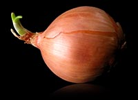 Onions rule!